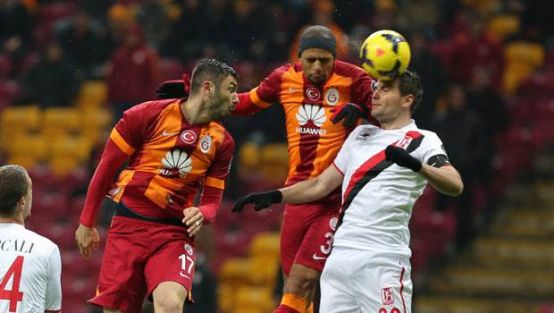 Aslan zirve aşkına!