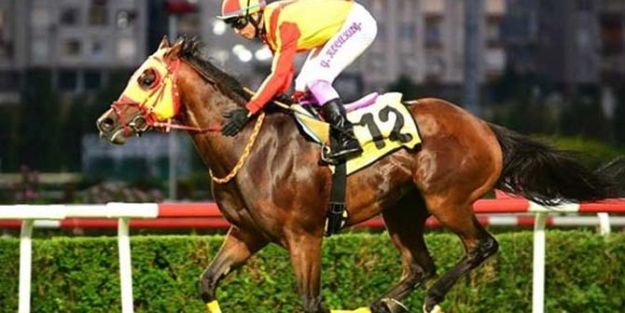 Başbakanlık Kupası Koşusu’nu ‘Perfect Warrior’ kazandı