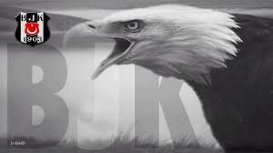 Dünya Kartal'ı konuşuyor