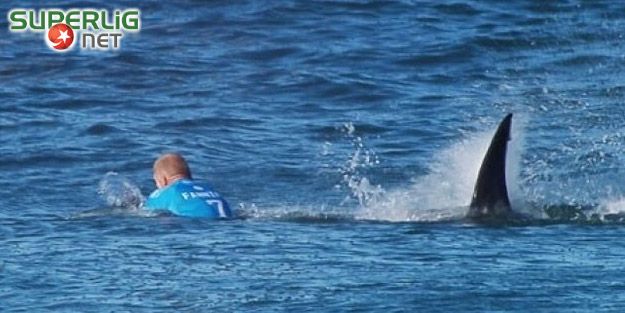 Dünya şampiyonuna köpekbalığı saldırdı