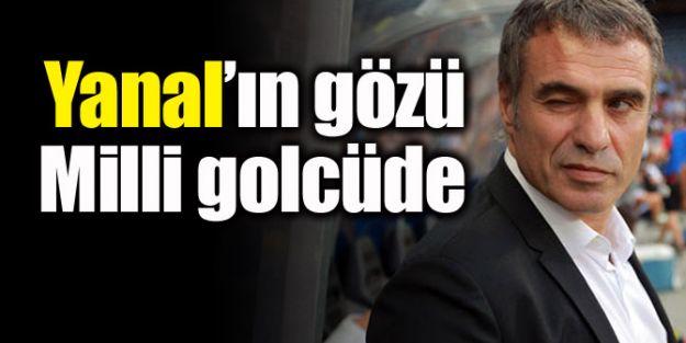 Ersun Yanal'ın gözü Milli golcüde