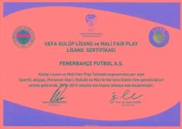 Fenerbahçe Kulübü, UEFA Lisansı aldı