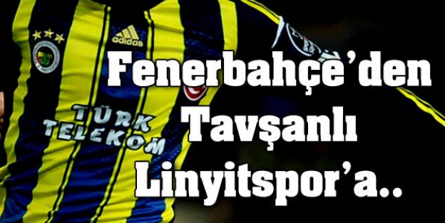 Fenerbahçe'den T.Linyitspor'a gitti