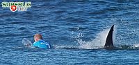 Dünya şampiyonuna köpekbalığı saldırdı