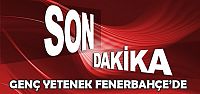 Fenerbahçe Ülker kadrosuna takviye