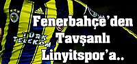 Fenerbahçe'den T.Linyitspor'a gitti