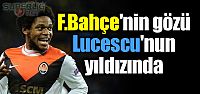 Fenerbahçe'nin gözü Lucescu'nun yıldızında!