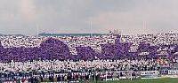 Fiorentina Şampiyonluk Aşkına!