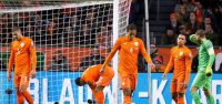 Hollanda haydi evine!