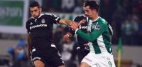 Kartal Timsah'ı avladı