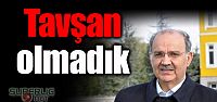 "Tavşan olmadık"